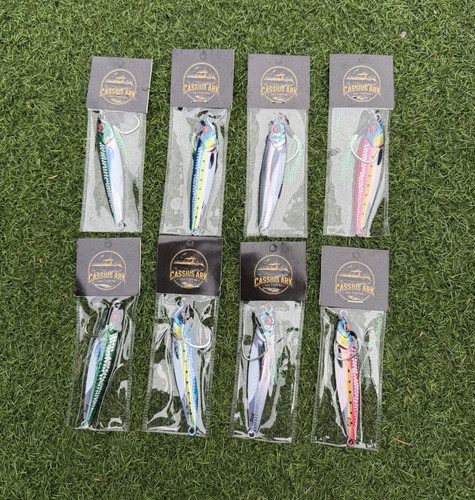 Cassius ark saltwater - cassius,
