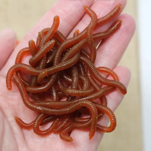 Lifelike fish smell red - fish,
