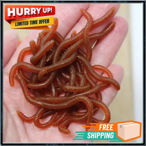 Red bait worms plastic fishing - worms,