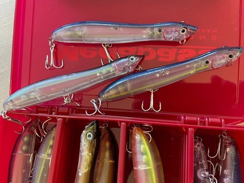 Surface bass fishing - surface, patchinko