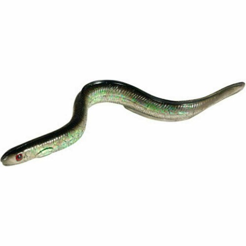 Sidewinder shimmer eels - sidewinder, 10
